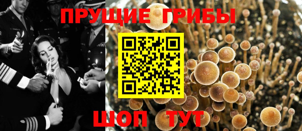Галлюциногенные грибы Magic Shrooms Усть-Лабинск