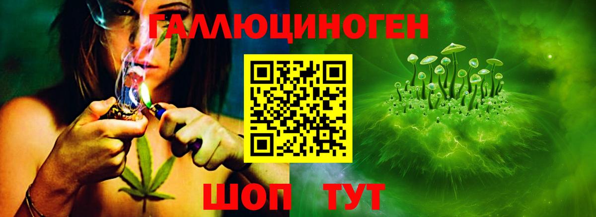 Псилоцибиновые грибы GOLDEN TEACHER  Вход с VPN  Усть-Лабинск  Галлюциногенные грибы Magic Shrooms 